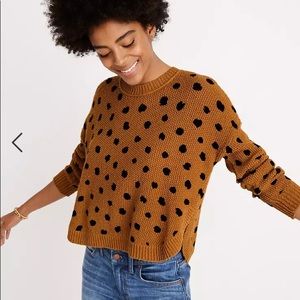 Madewell Dot Sweater